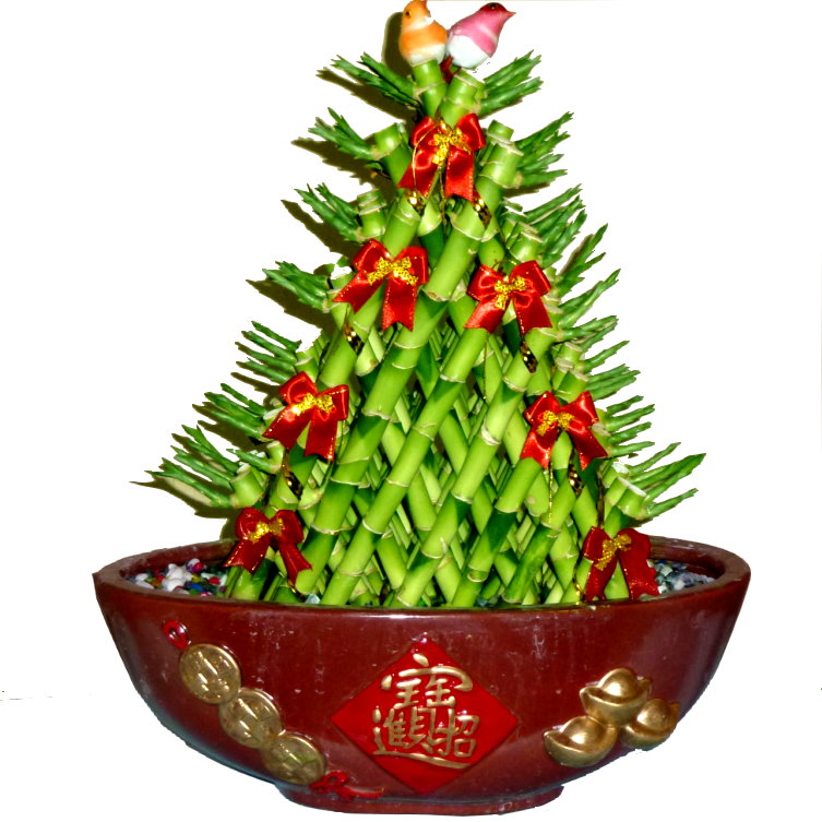 开运竹|下沙植物租赁